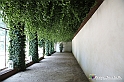 VBS_1500 - Castello di Miradolo - Mostra Oltre il giardino l'Abbecedario di paolo Pejrone